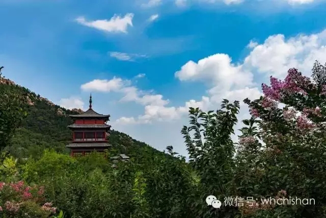 花期已過葉還未紅 去赤山賞云吧！
