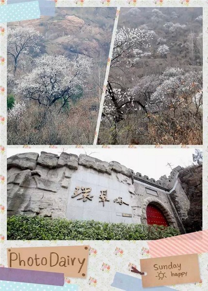 到啦！先看看風(fēng)景