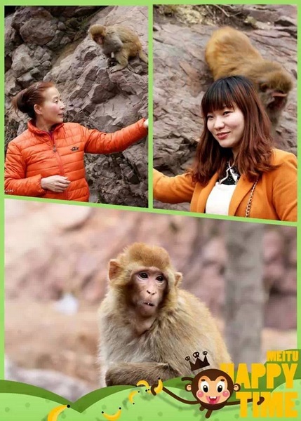 猴子也喜歡美女哦！