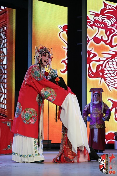 票友版豫劇《三哭殿》精彩上演
