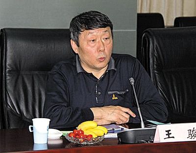 國家能源局新能源和可再生能源司司長王駿。