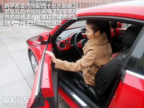新甲殼蟲