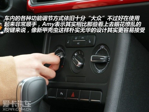 新甲殼蟲