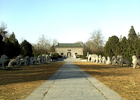 新鄉(xiāng)風采