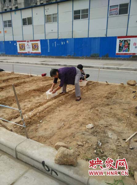 周邊居民在種植蔬菜