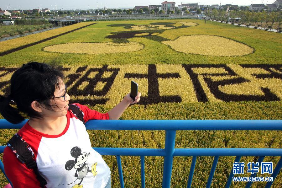 10月25日，游客在觀景臺上觀賞“米老鼠”稻田畫。