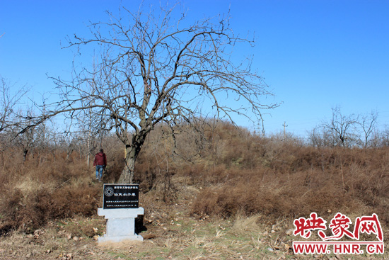 在叔齊墓的前面，豎著新鄭市人民政府今年剛立的石碑，上面寫著“新鄭市文物保護單位”。