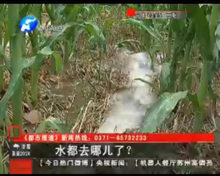水都去哪了？