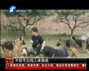 全國(guó)最牛警犬“追命”的傳奇