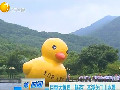 巨型大黃鴨“暢游”本溪關門山水景