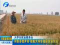 鄭州：考生辦臨時(shí)身份證立等可取