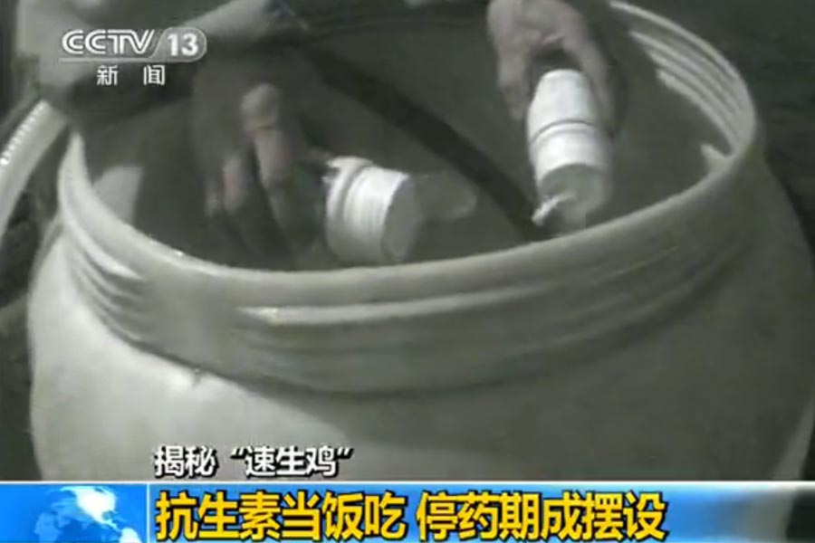 速生雞