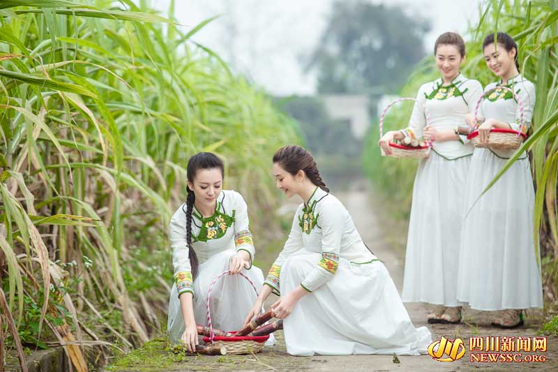 四川內(nèi)江“甜女”驚艷亮相 甜美如畫(huà)清純飄逸